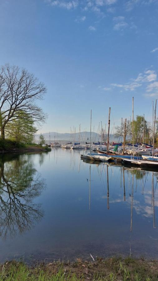 Laguna24 Jezioro Zywieckie Klimatyzowany Apartament 40 M2 Zarzecze  Eksteriør bilde